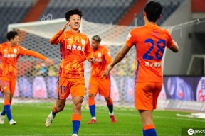 NG SPORTS-包含排球总决赛上演强强对话，岭东霹雳队淘汰对手渝州天虎队，战术调整见效；轮换效果显现的词条
