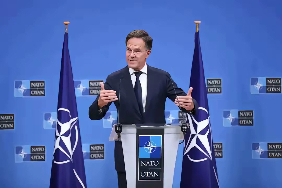 清晨德甲焦点战，本菲卡状态回暖，质疑声仍在，团队化学反应显著(诺亚vs传奇海帕杰顿)